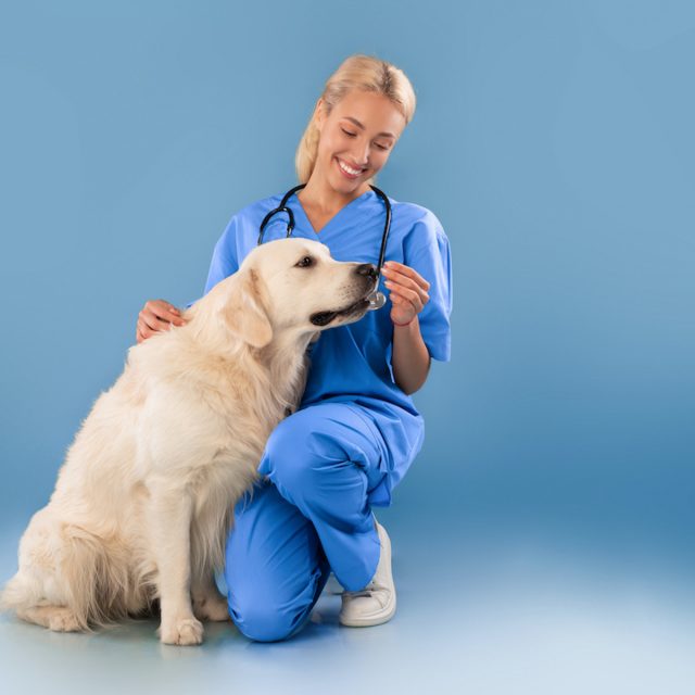 szív egészsége kutyáknál ammónia magas vérnyomás esetén
