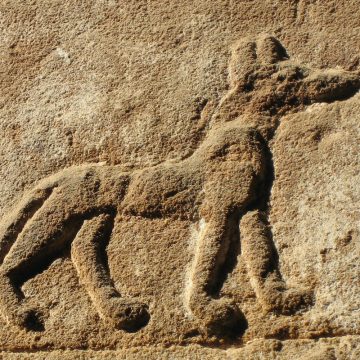 A fáraó kutyáját olyan pompában temették, amit csak a kiváltságosok érdemeltek ki – Abutiu, a királyi őrzőkutya története