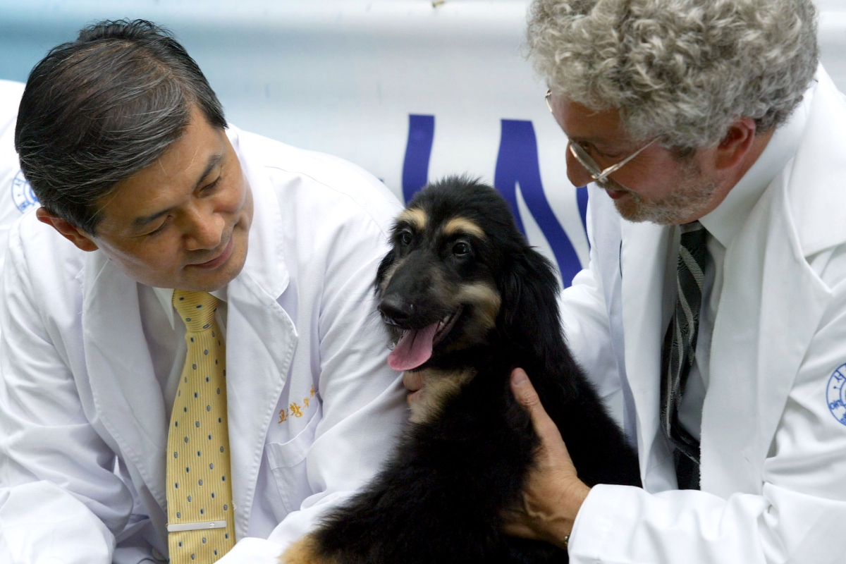 Dr. Hwang Woo-Suk (balra) és Gerald Schatten kutatók Snuppyval, az első klónozott kutyával