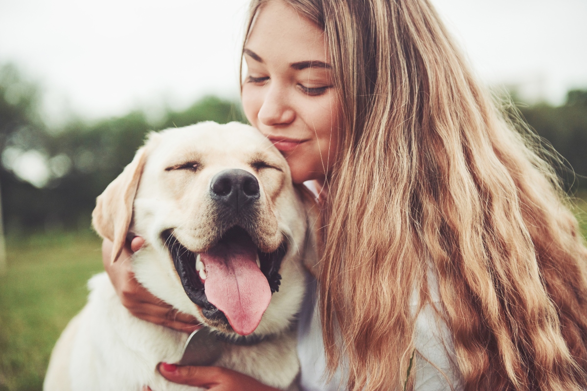 A kutya és az agyműködés között pozitív a kapcsolat.